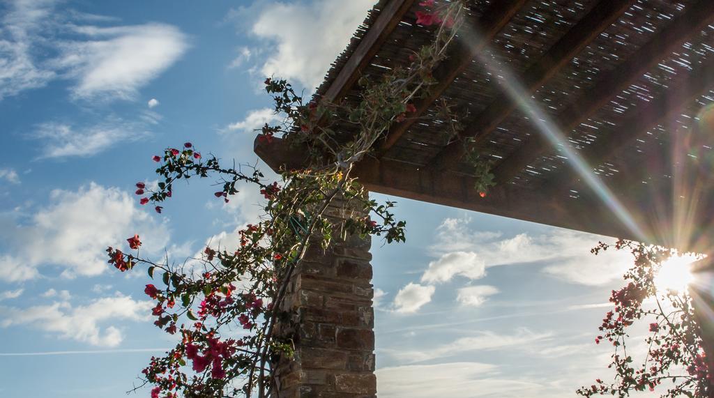 Andros Maisonettes Áyios Pétros Bagian luar foto