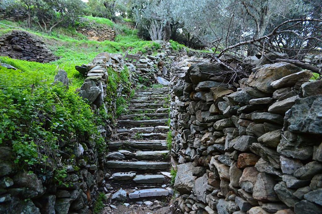 Andros Maisonettes Áyios Pétros Bagian luar foto